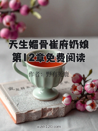 天生媚骨崔府奶娘第12章免费阅读