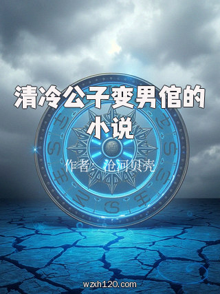 清冷公子变男倌的小说
