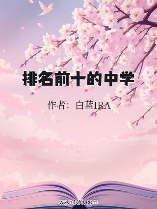 排名前十的中学