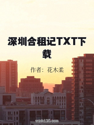 深圳合租记TXT下载