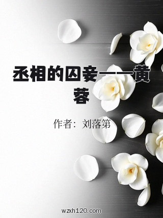 丞相的囚妾——黄蓉