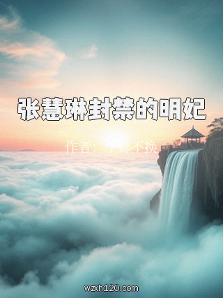 张慧琳封禁的明妃
