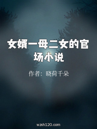 女婿一母二女的官场小说