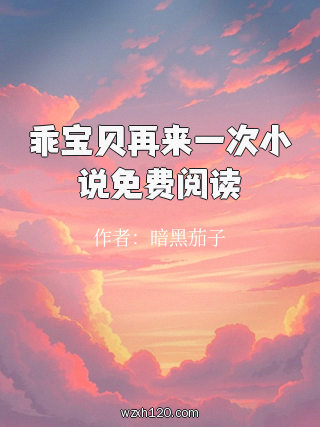 乖宝贝再来一次小说免费阅读