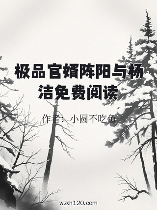 极品官婿陈阳与杨洁免费阅读