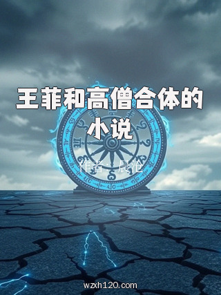 王菲和高僧合体的小说