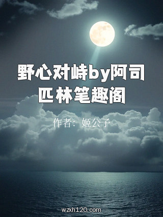 野心对峙by阿司匹林笔趣阁
