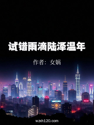 试错雨滴陆泽温年