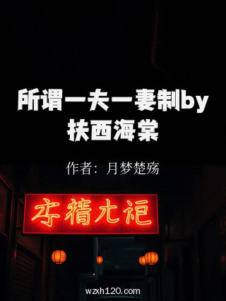 所谓一夫一妻制by扶西海棠
