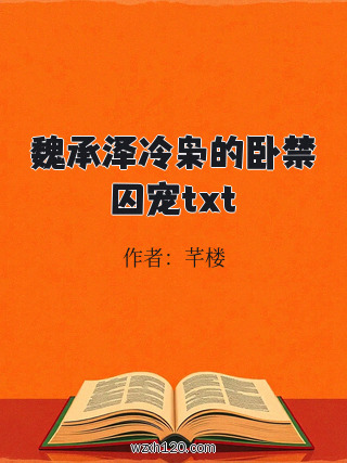 魏承泽冷枭的卧禁囚宠txt