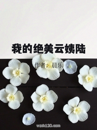 我的绝美云姨陆