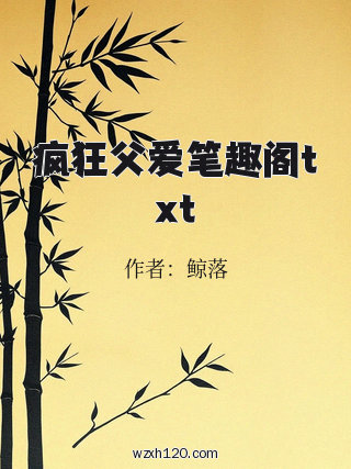 疯狂父爱笔趣阁txt