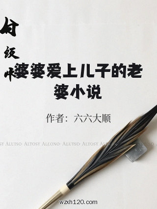 婆婆爱上儿子的老婆小说