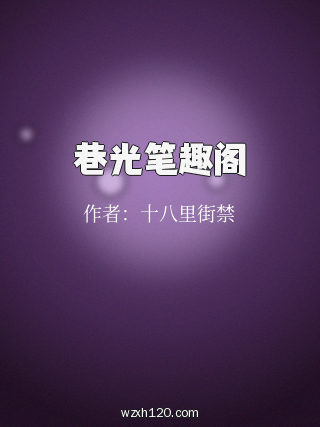 巷光笔趣阁
