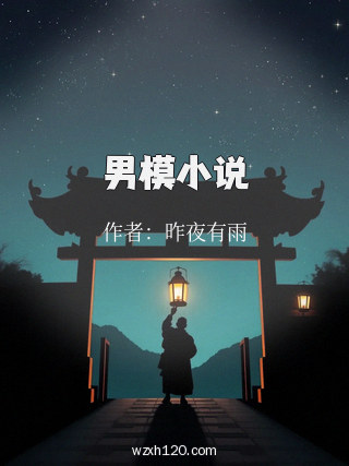 男模小说