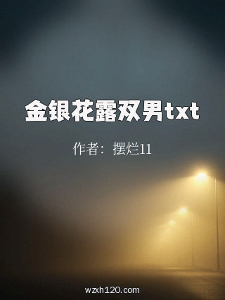金银花露双男txt