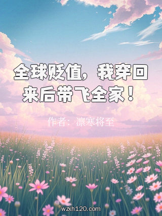 全球贬值,我穿回来后带飞全家!