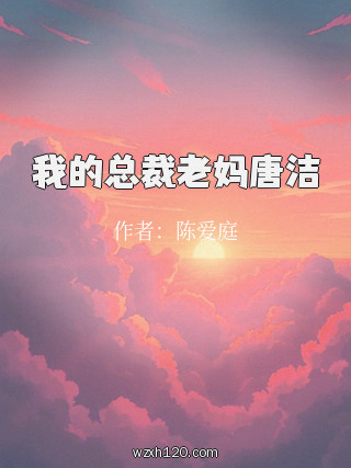 我的总裁老妈唐洁