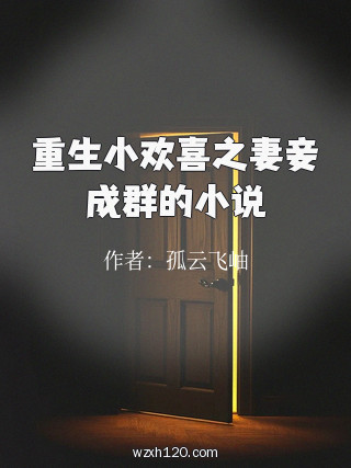 重生小欢喜之妻妾成群的小说