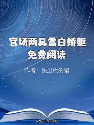 官场两具雪白娇躯免费阅读