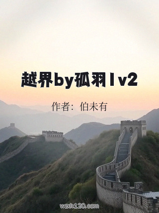 越界by孤羽1v2
