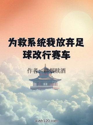 为救系统我放弃足球改行赛车