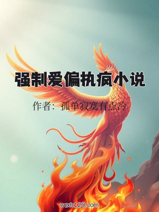 强制爱偏执疯小说