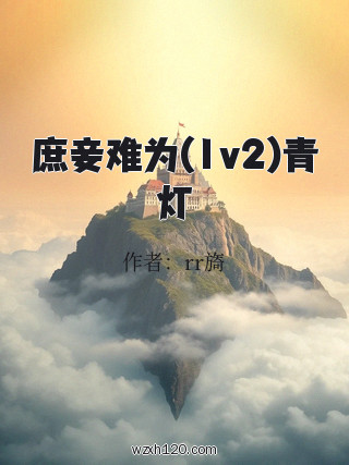 庶妾难为(1v2)青灯