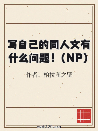 写自己的同人文有什么问题!(NP)