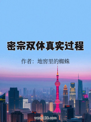 密宗双休真实过程