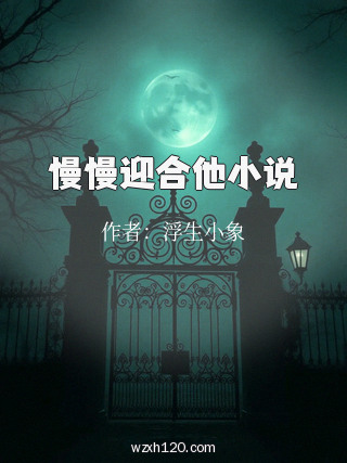 慢慢迎合他小说
