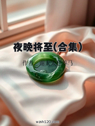 夜晚将至(合集)