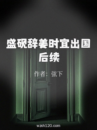盛砚辞姜时宜出国后续