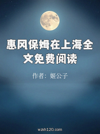 惠风保姆在上海全文免费阅读