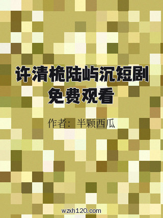 许清桅陆屿沉短剧免费观看