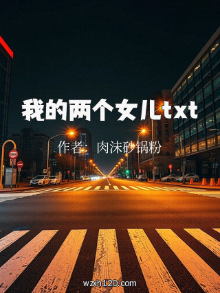 我的两个女儿txt