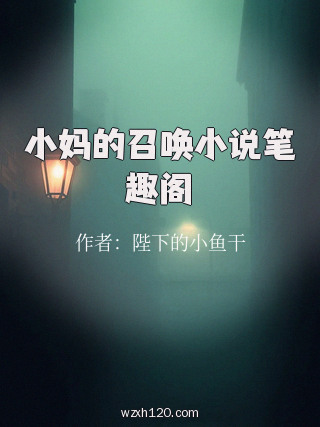 小妈的召唤小说笔趣阁