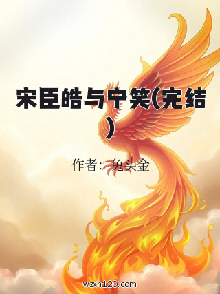 宋臣皓与宁笑(完结)