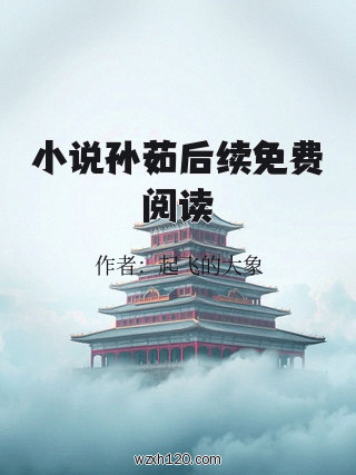 小说孙茹后续免费阅读