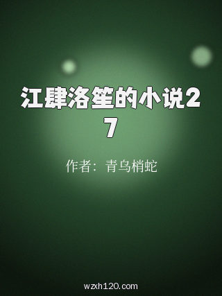 江肆洛笙的小说27
