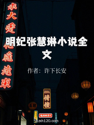 明妃张慧琳小说全文