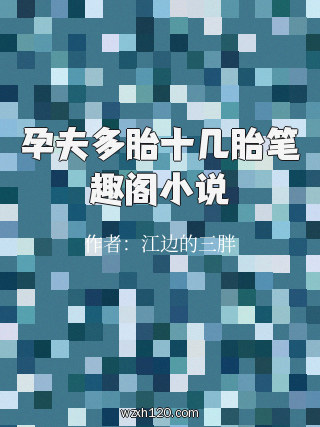 孕夫多胎十几胎笔趣阁小说