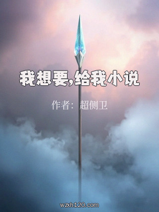 我想要,给我小说