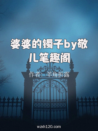婆婆的镯子by敬儿笔趣阁