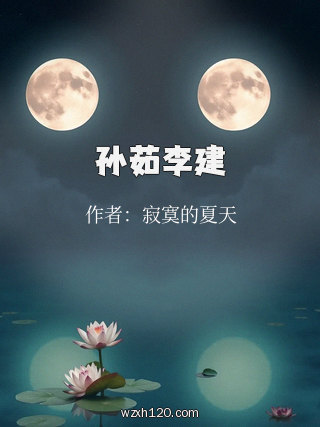 孙茹李建