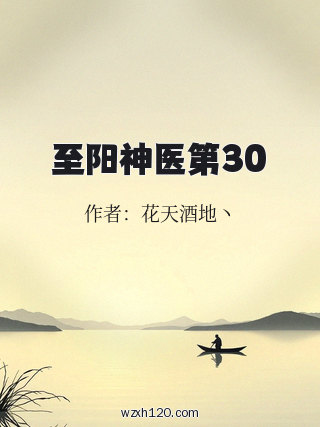 至阳神医第30