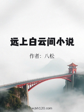 远上白云间小说