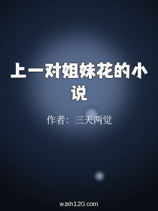 上一对姐妹花的小说