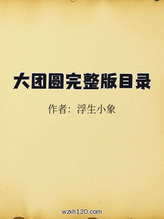 大团圆完整版目录