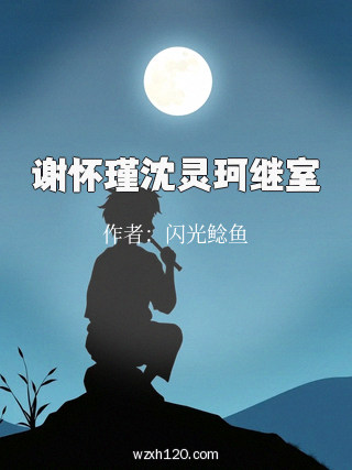 谢怀瑾沈灵珂继室
